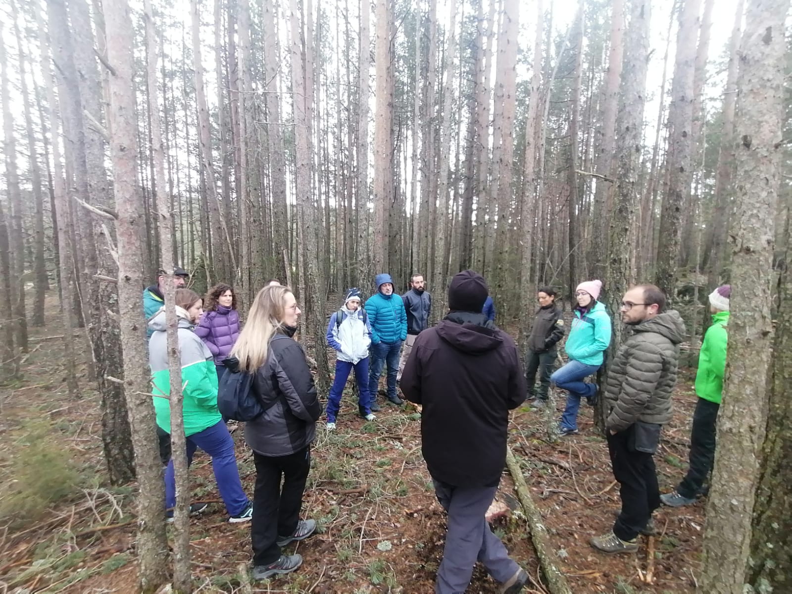 A1.2 Coordinación técnico-científica