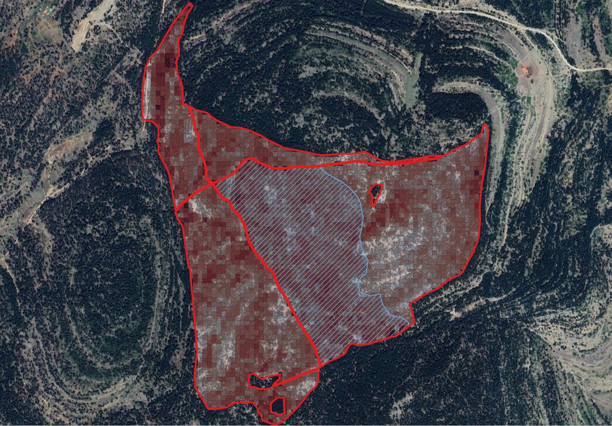 A2.1 Dinamización de la Gestión Forestal Sostenible