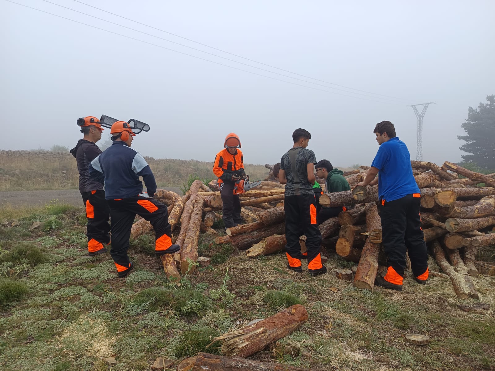 A4.1 Programa de formación teórico-práctico en gestión forestal sostenible