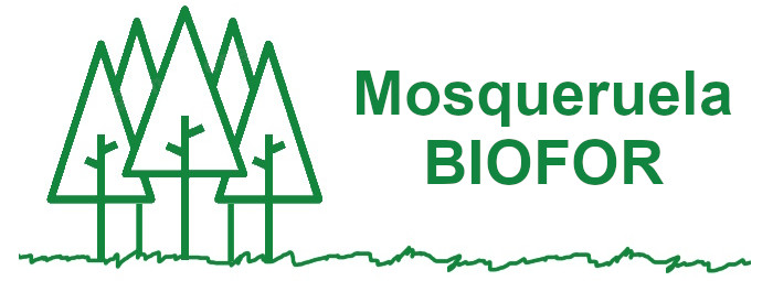 Mosqueruela Biofor